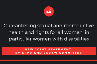 Slika. Komitet za prava osoba sa invaliditetom (CRPD) i Komitet za eliminaciju diskriminacije žena (CEDAW) usvojili zajedničku novu izjavu „Garantovanje seksualnog i reproduktivnog zdravlja i prava za sve žene, posebno za žene sa invaliditetom“